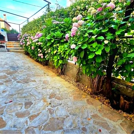 Rustica With Exclusive Use Of The Pool-ground Floor * Zadar