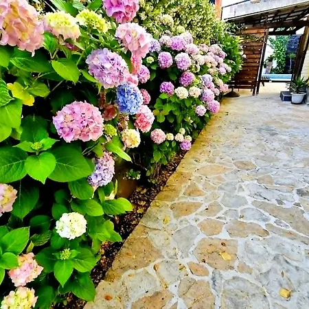 Διαμέρισμα Rustica With Exclusive Use Of The Pool-ground Floor